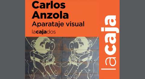 Aparataje Visual. Carlos Anzola